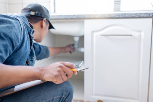 Best Local Plumber Services  in Knox, IN