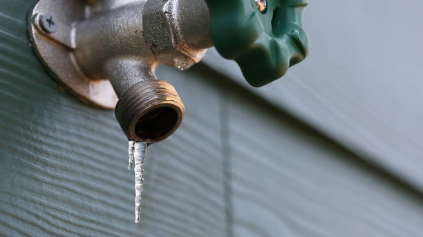 Best Sewer Line Repair  in Knox, IN